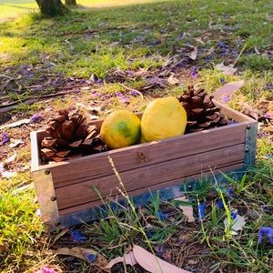 Wooden Crate with Galvanized Accents